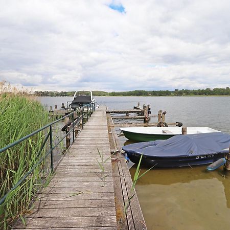 Ferienwohnung Habicht Villa-Paelitzsee Grosszerlang المظهر الخارجي الصورة