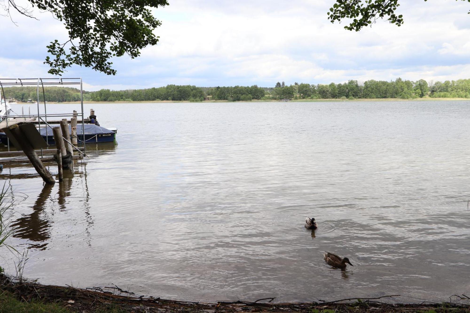 Ferienwohnung Habicht Villa-Paelitzsee Grosszerlang المظهر الخارجي الصورة